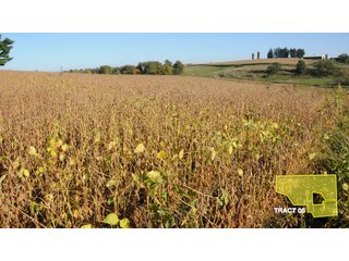 Property photo 13 - 1,153 +/- Acres offered in 15 TractsLAND AUCTION